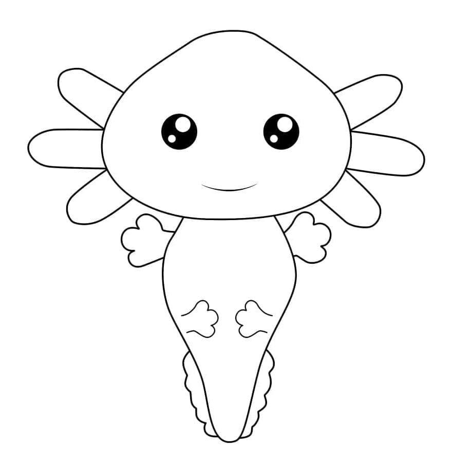 Axolotl Adorable Aquatic Illustration Coloring Page