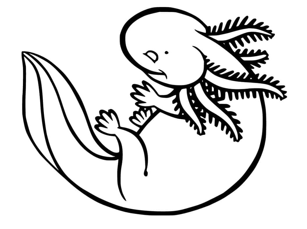 Axolotl Aquatic Artistry Coloring Page