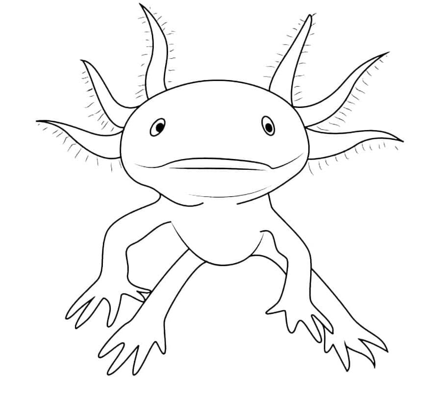 Axolotl Aquatic Representation Coloring Page