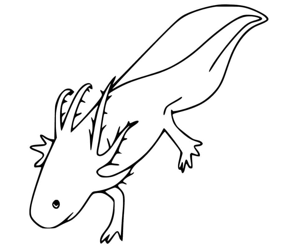 Axolotl Aquatic Serenity and Wonder Coloring Page