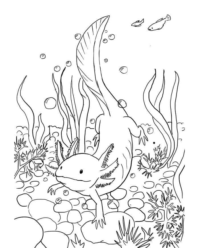 Axolotl Bring the Ocean to Your Paper Coloring Page