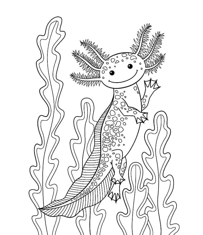 Axolotl Capture the Aquatic Charm Coloring Page