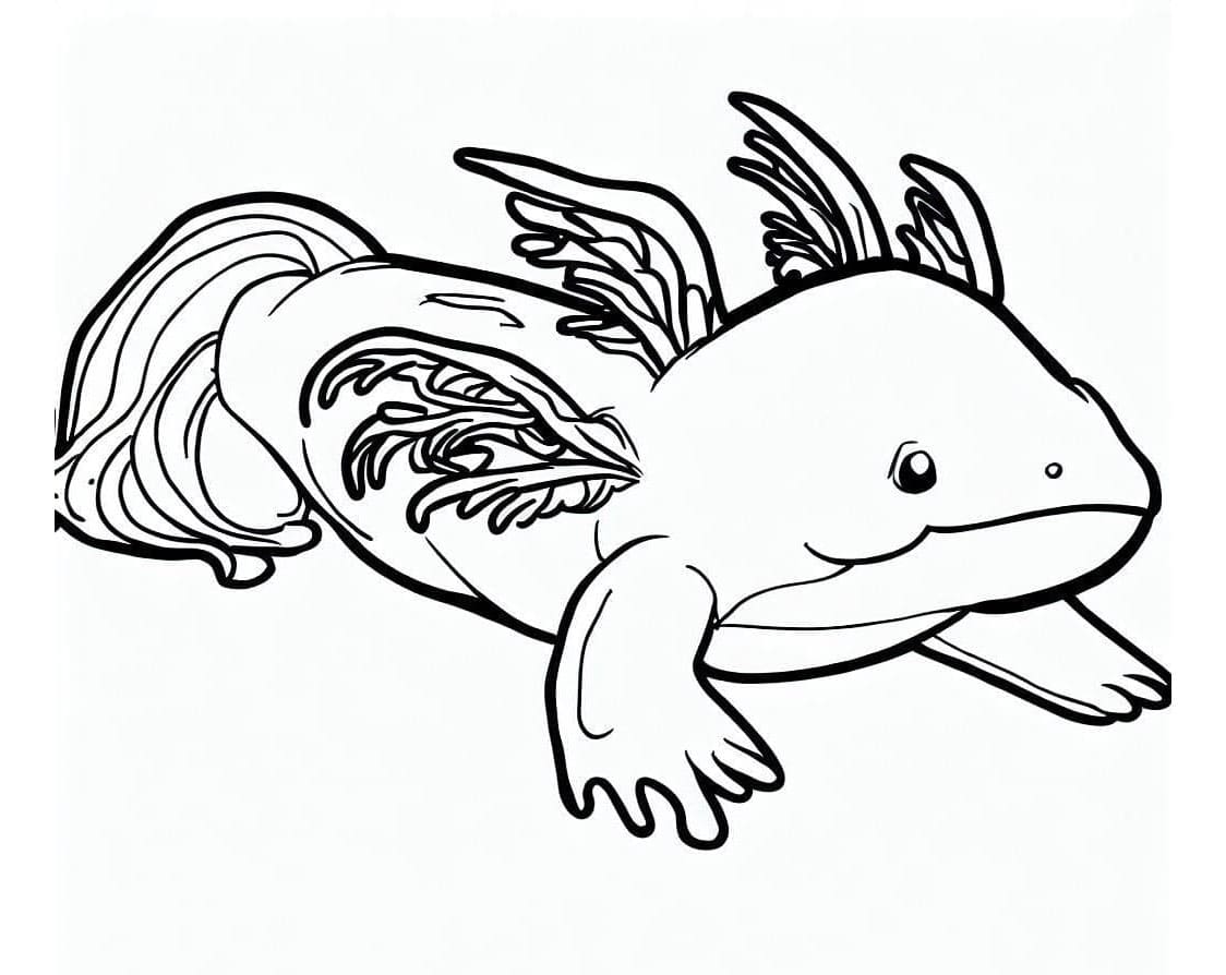 Axolotl Everyday Aquatic Creature Coloring Page