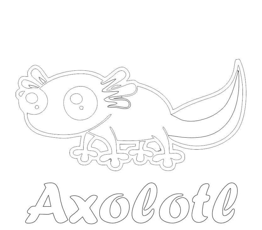 Axolotl Inquisitive Aquatic Explorer Coloring Page