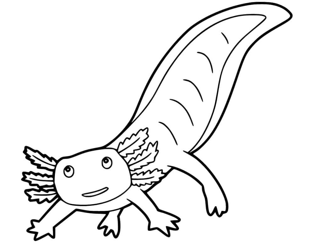 Axolotl Liberated Aquatic Beauty Coloring Page