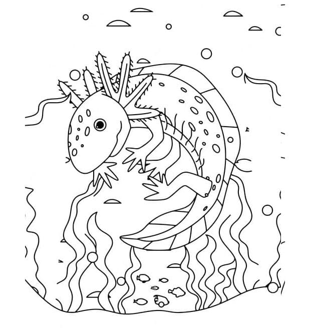 Axolotl Serene Aquatic Beauty Coloring Page