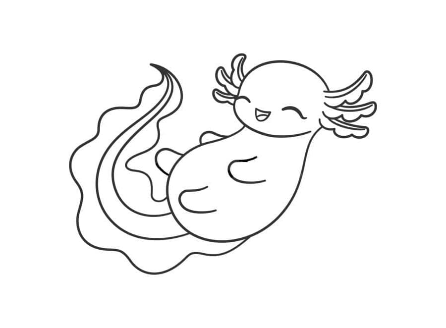 Axolotl The Lovely Melodies Coloring Page