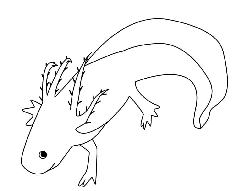 Axolotl Whimsical Water Creature Design Coloring Page