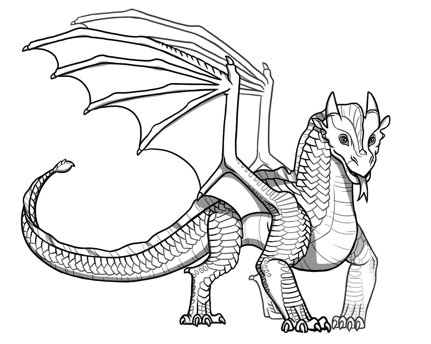 Baby Dragon Wings of Fire Coloring Page