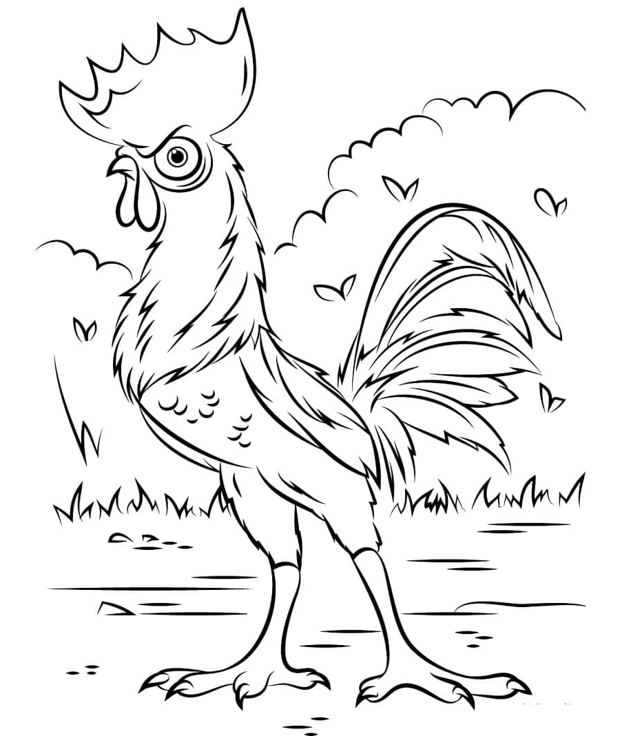 Hei Hei from Moana Free Printable Coloring Page