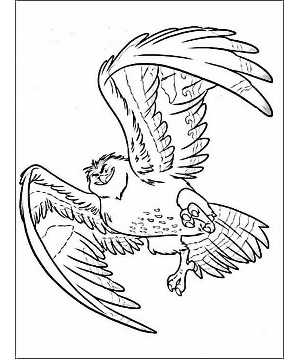 Maui Falcon Free Coloring Page