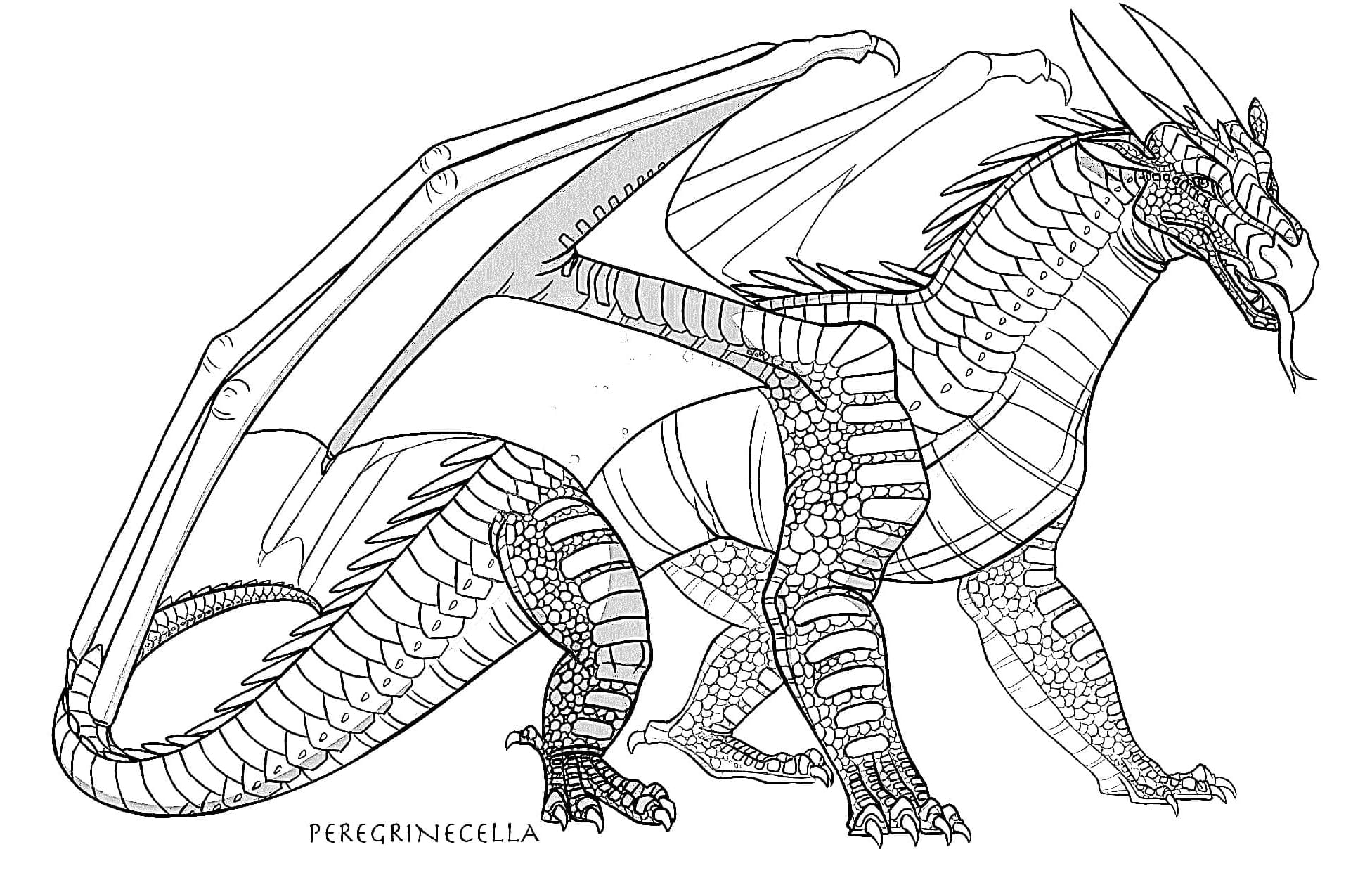 Nocturnal Nightwing Shadow Wings of Fire Coloring Page