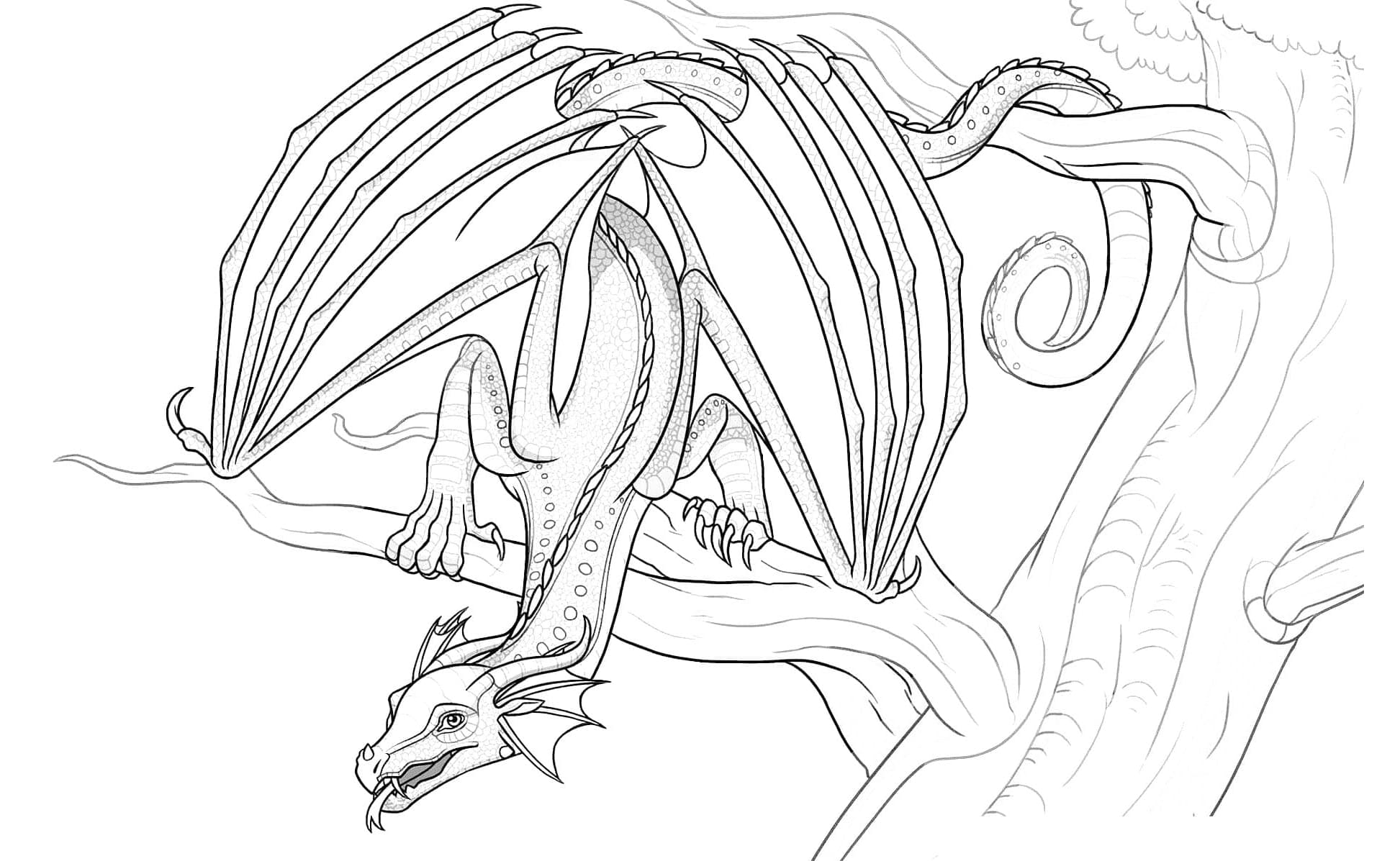 Wings of Fire Lush RainWings Coloring Page