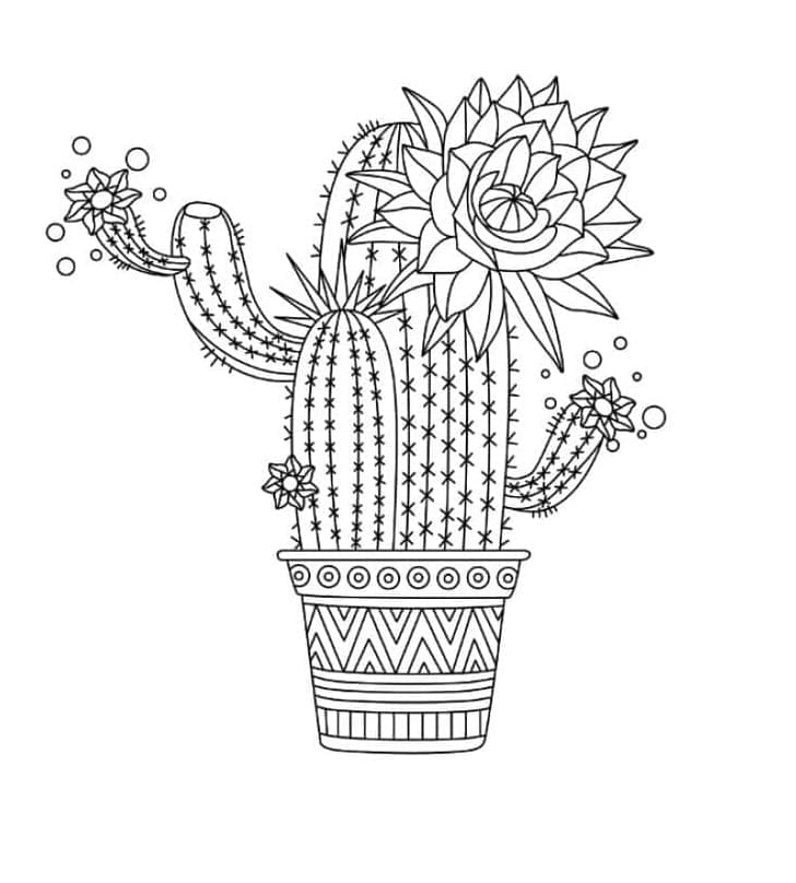 A Beautiful Cactus Printable Coloring Page