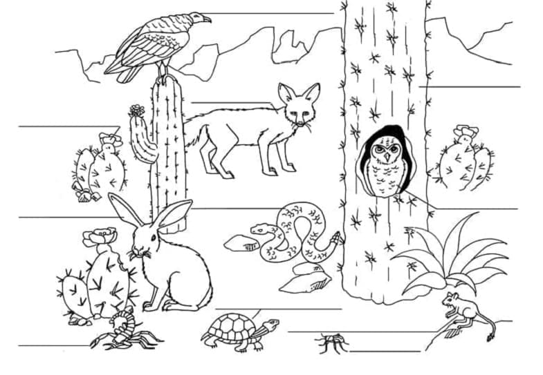 Animals and Cacti Printable Coloring Page