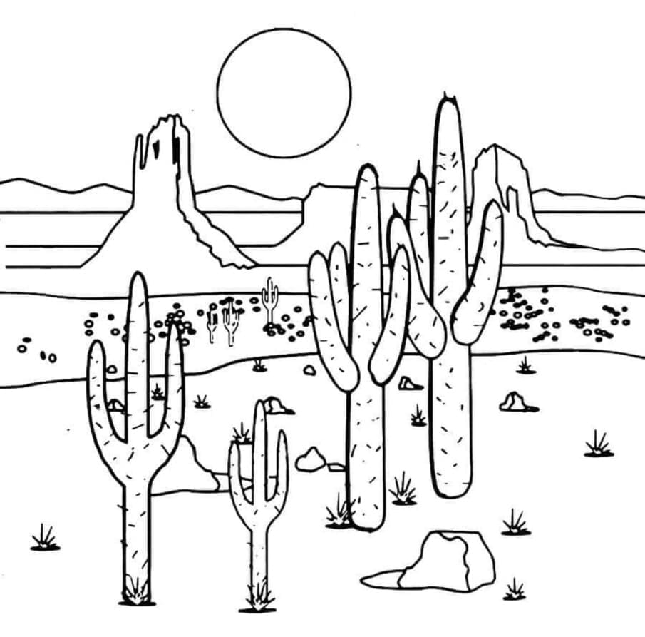 Arid Area with Cactus Printable Coloring Page