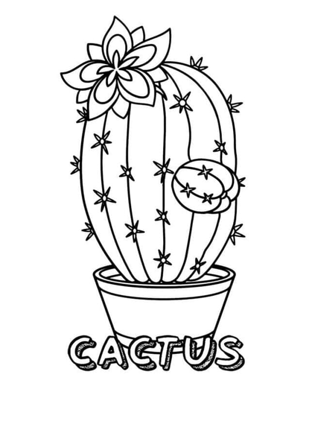 Basic Cactus Printable Coloring Page