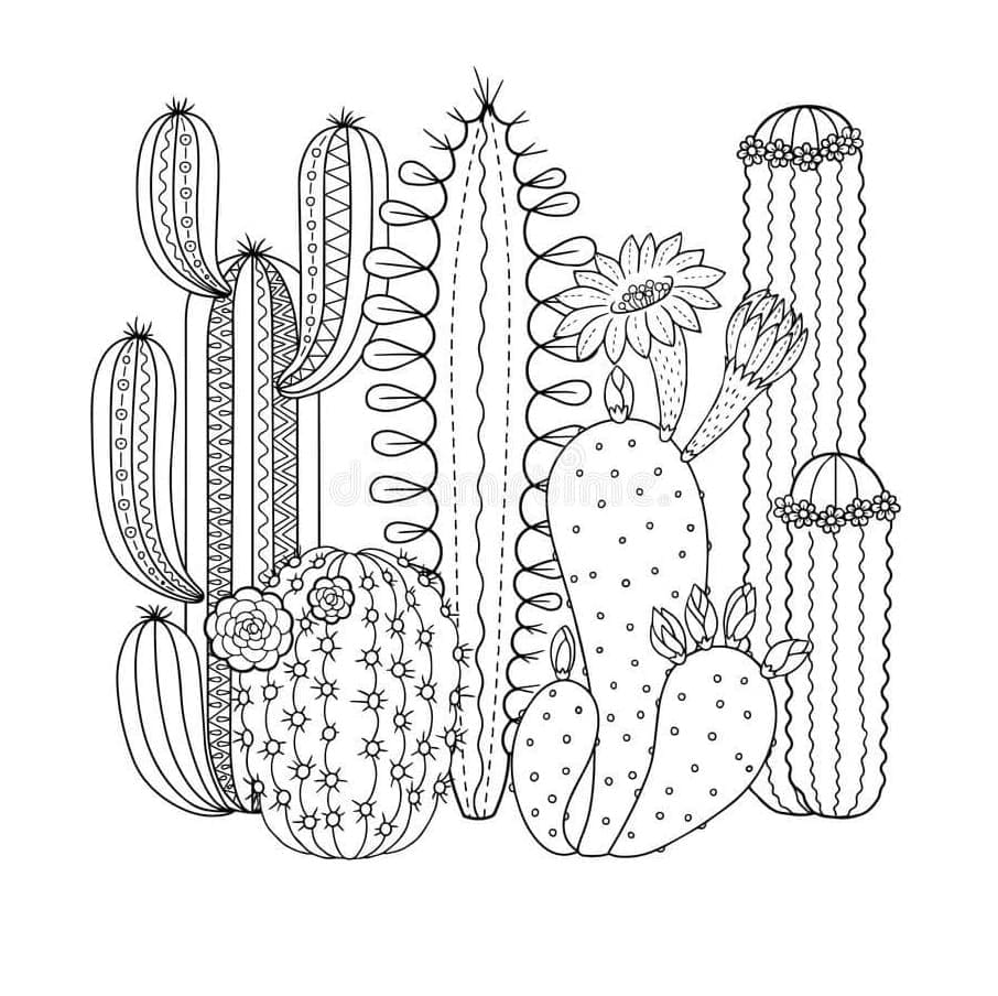 Cactus Garden Printable Coloring Page