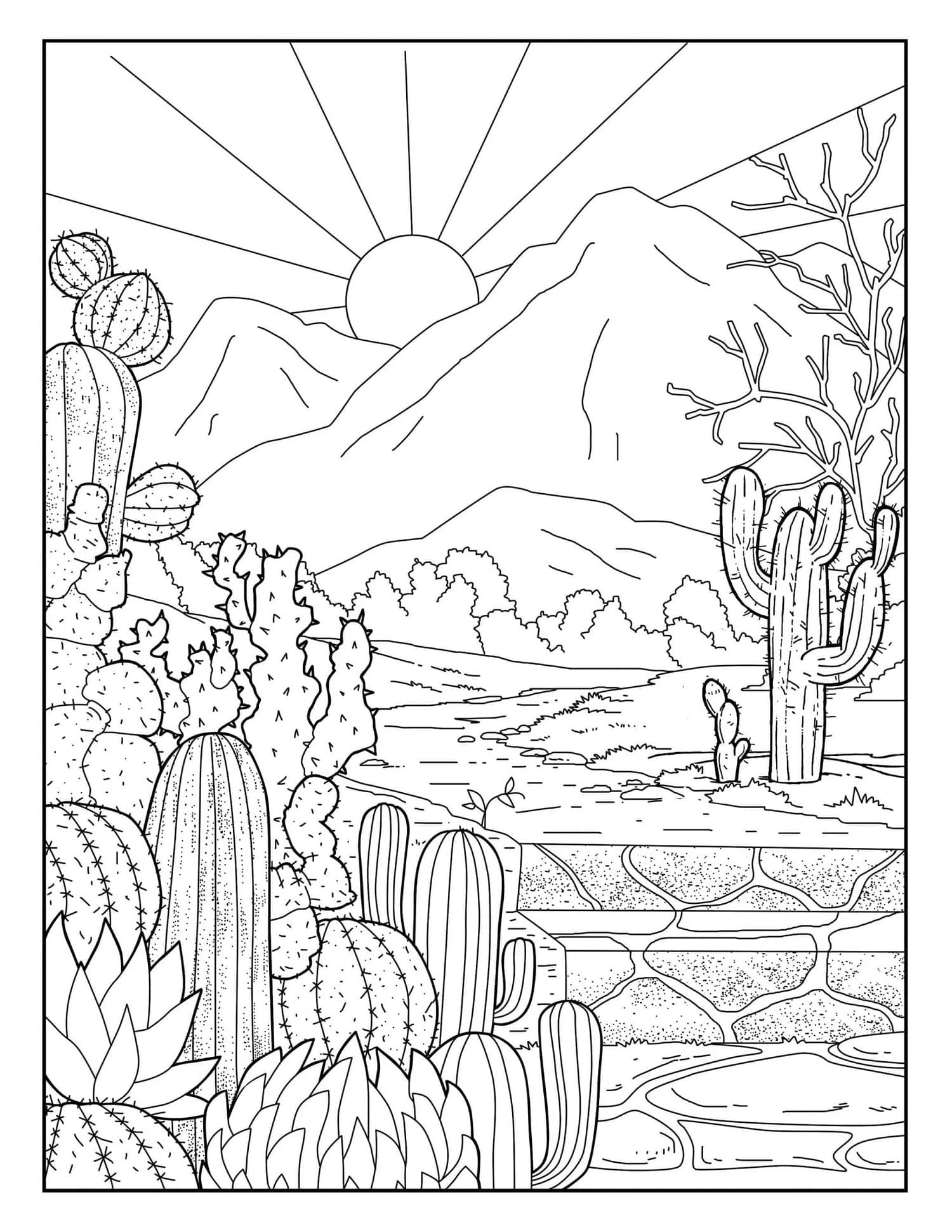 Cactus Garden and Sun Printable Coloring Page