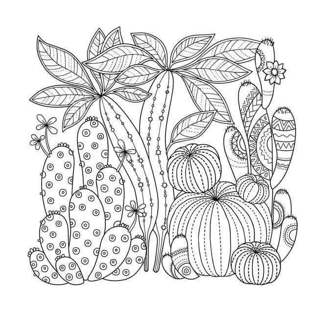 Cactus Mandala Printable Coloring Page