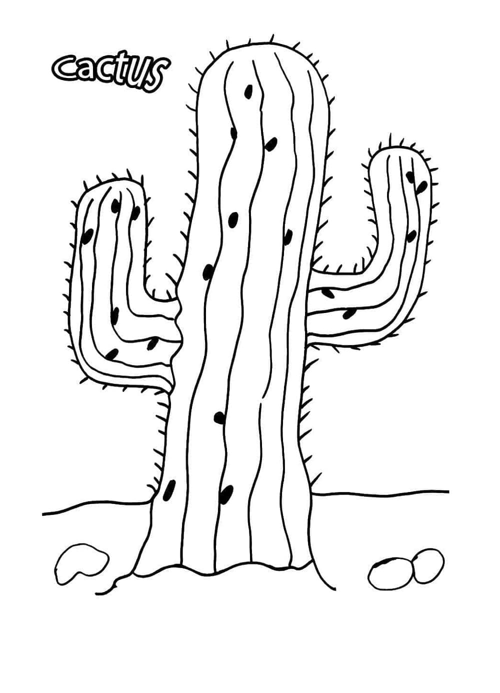 Cactus Plant Printable Coloring Page