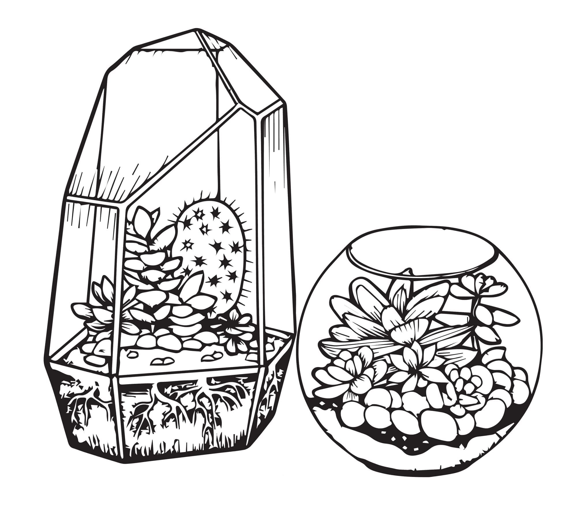 Cactus and Succulent Printable Coloring Page