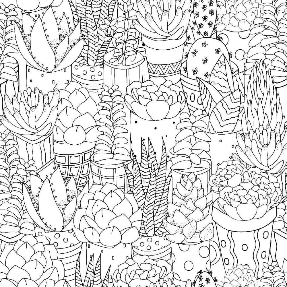 Cactus is for Adult Printable Coloring Page