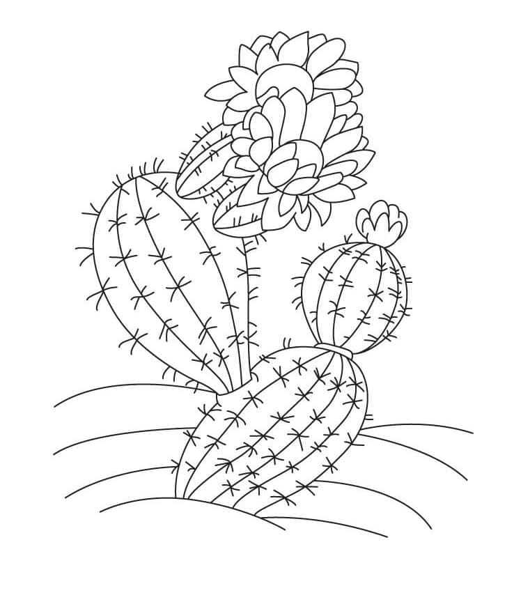 Cactus with Flower Printable Coloring Page