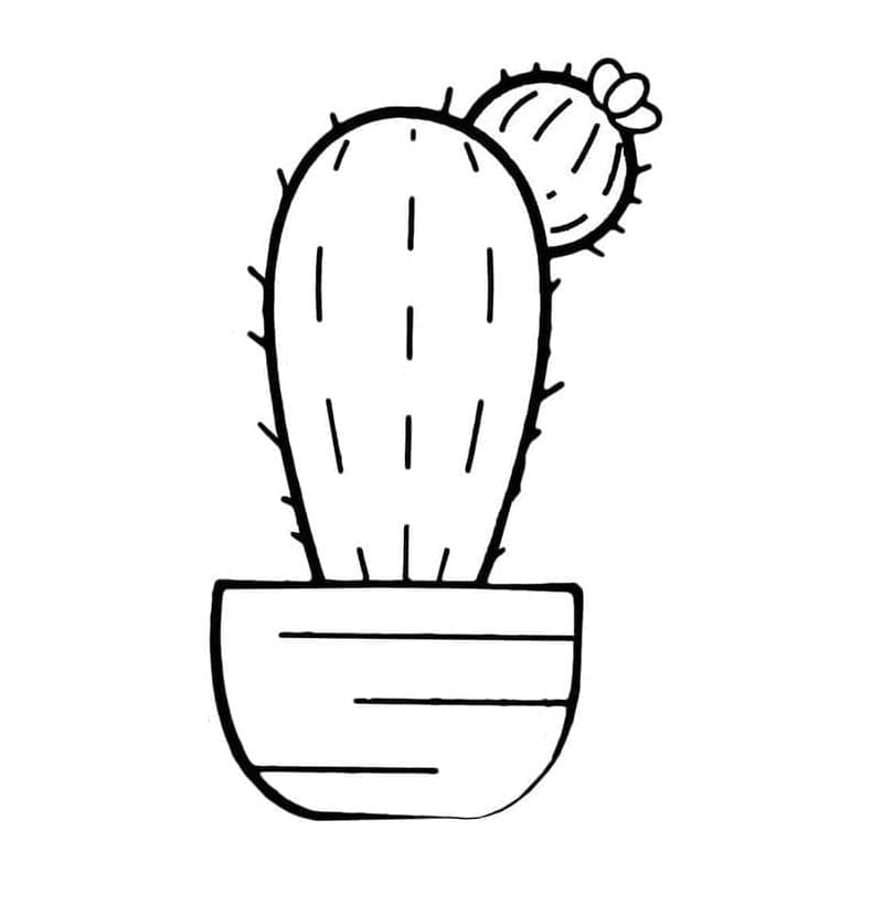 Common Cactus Printable Coloring Page