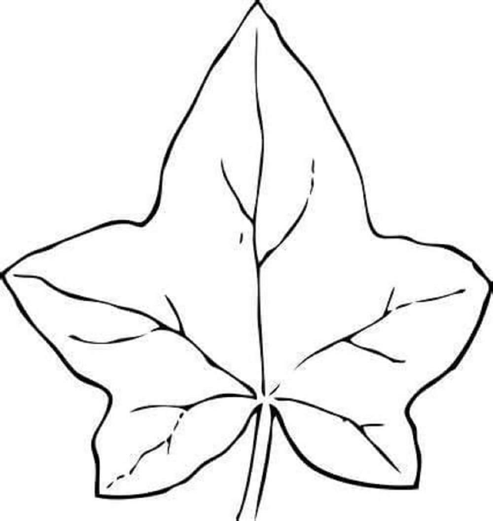 Free Leaves JPG Printable Coloring Page