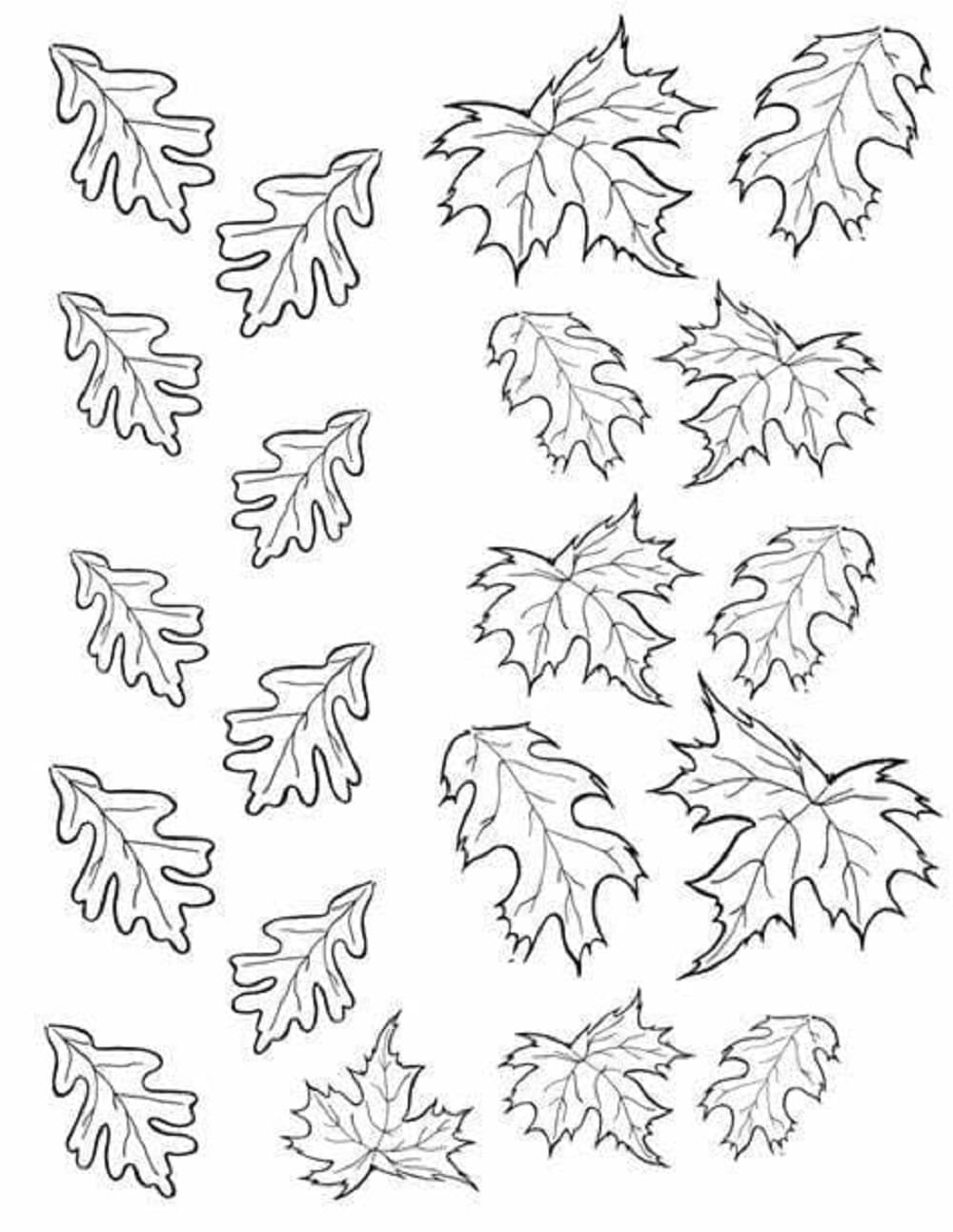 Free Print Leaves Image Coloring Page