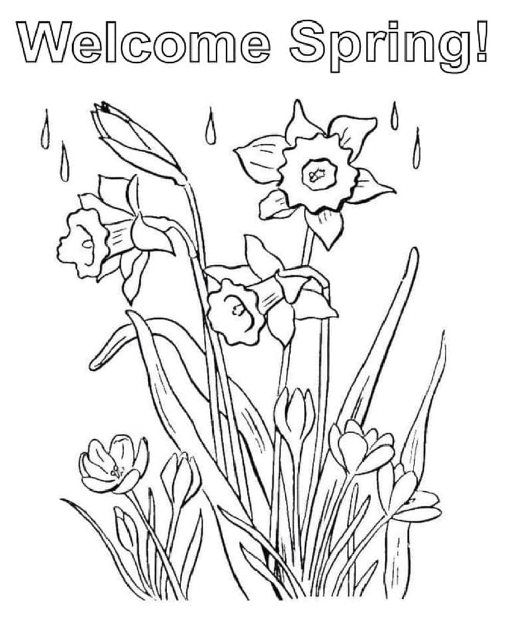 Free Print Welcome Spring Coloring Page