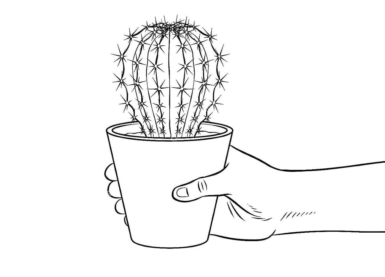 Hand Holding Cactus Pot Printable Coloring Page