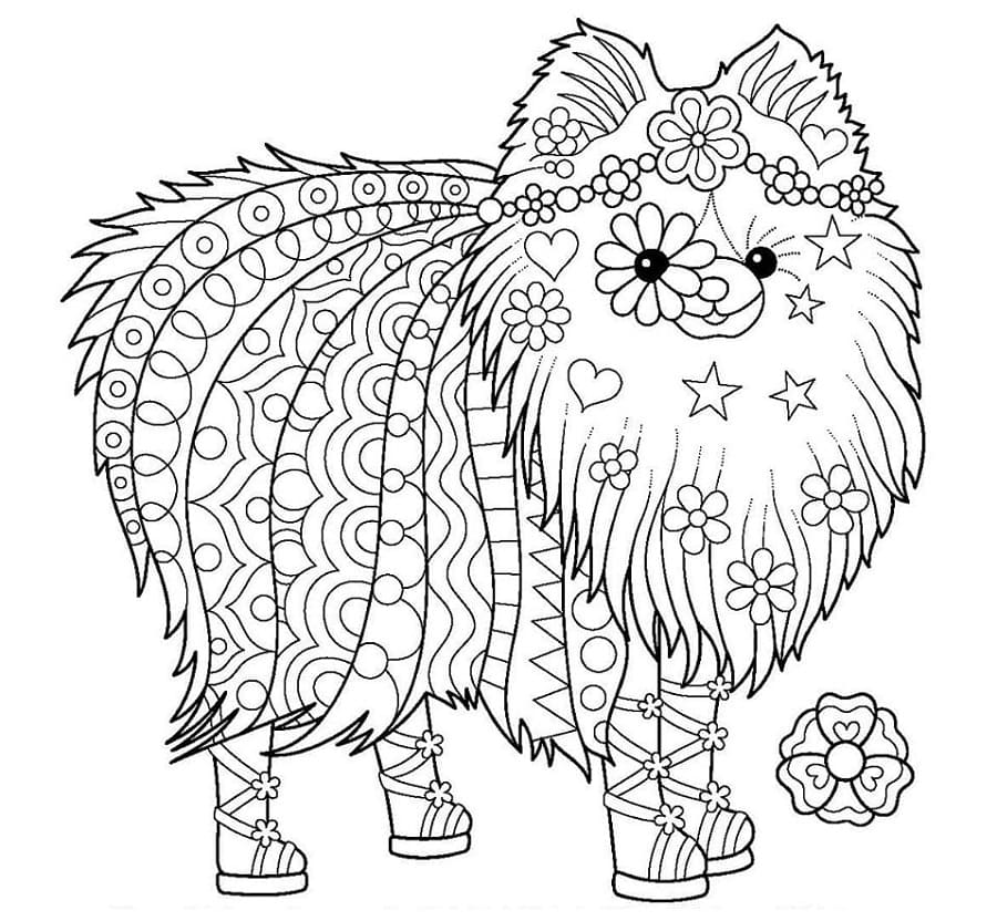 Hippie Dog Printable Coloring Page