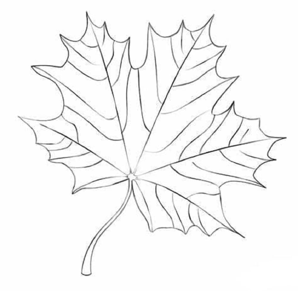 Leaves Image Printable Coloring Page