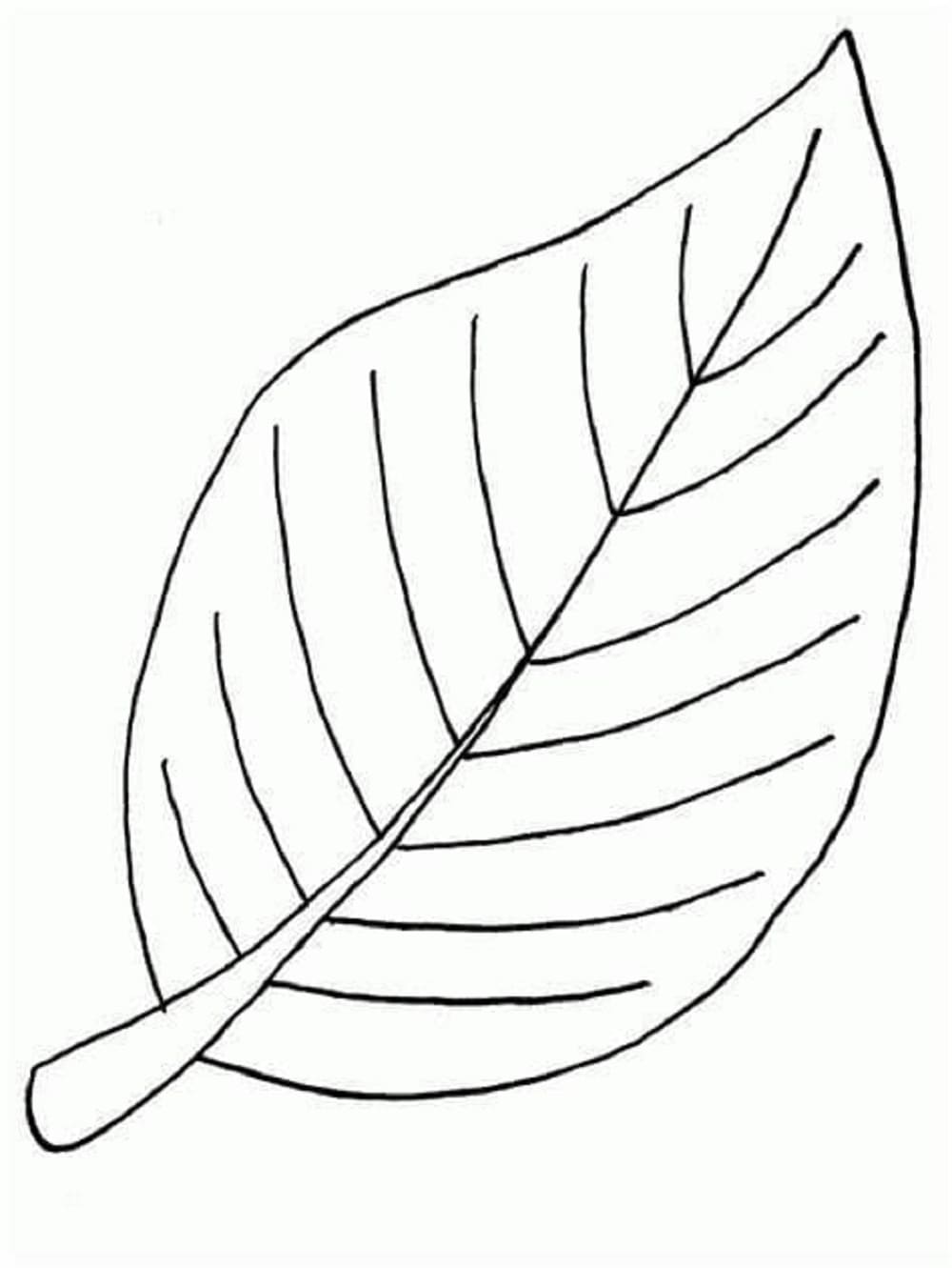 Leaves JPG Printable Coloring Page