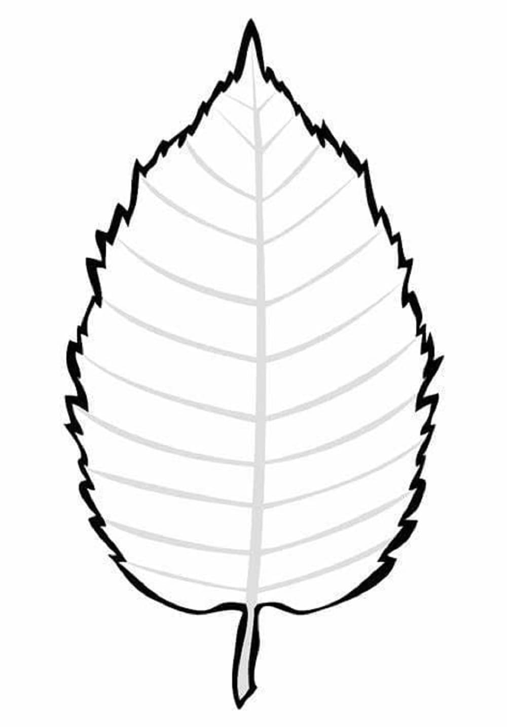 Leaves Outline Printable Coloring Page