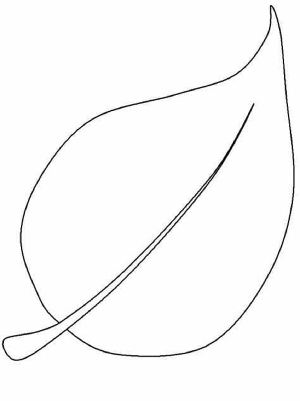 Leaves Printable Coloring Page