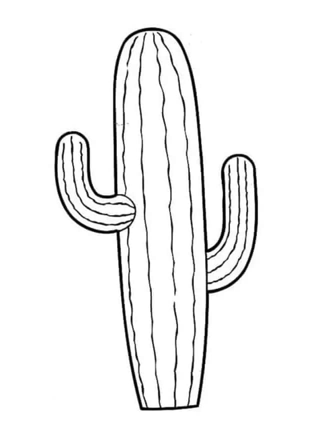 Print Cactus Coloring Page