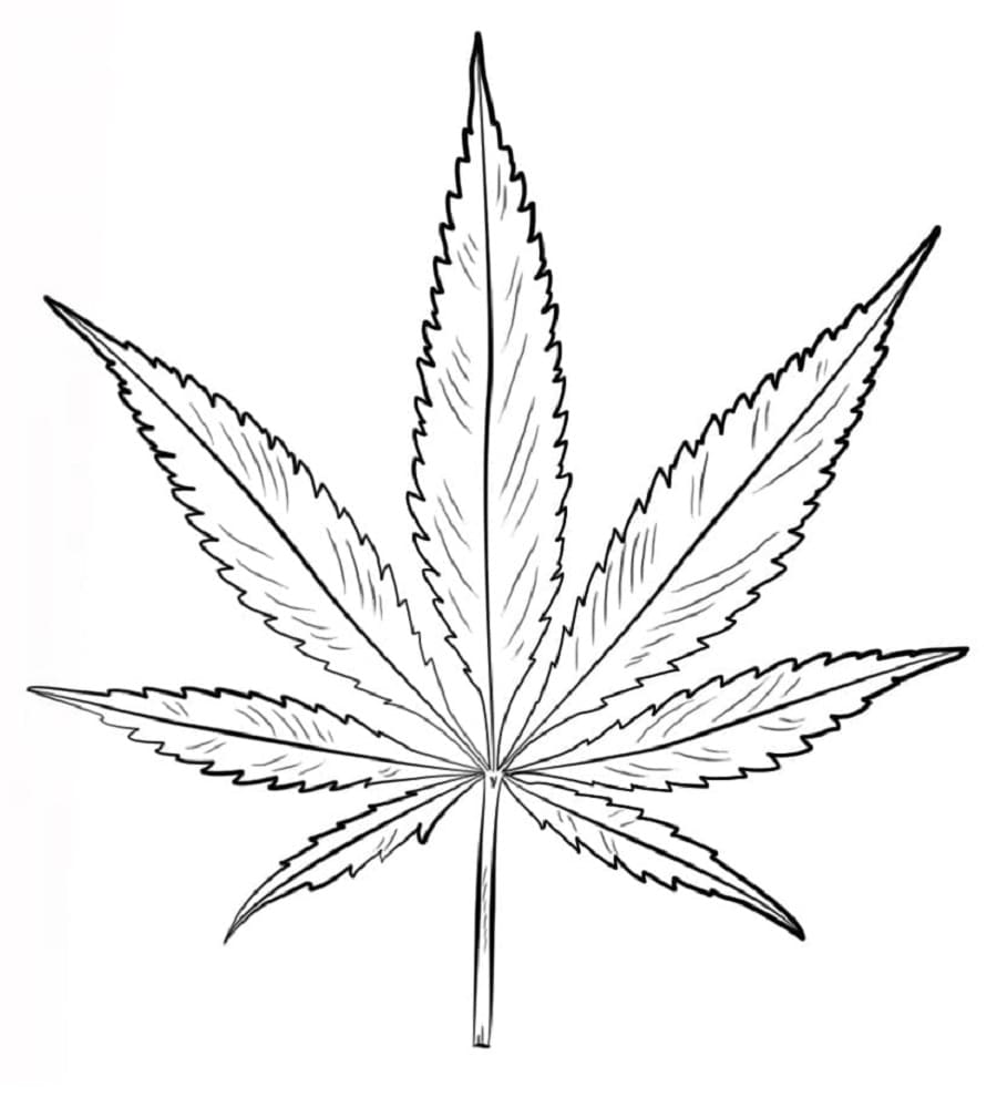 Print Drawing of Weed Coloring Page