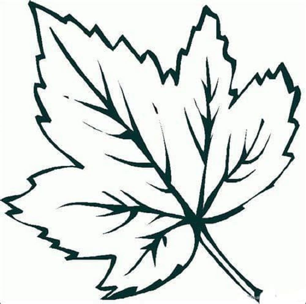 Print Free Leaves Coloring Page