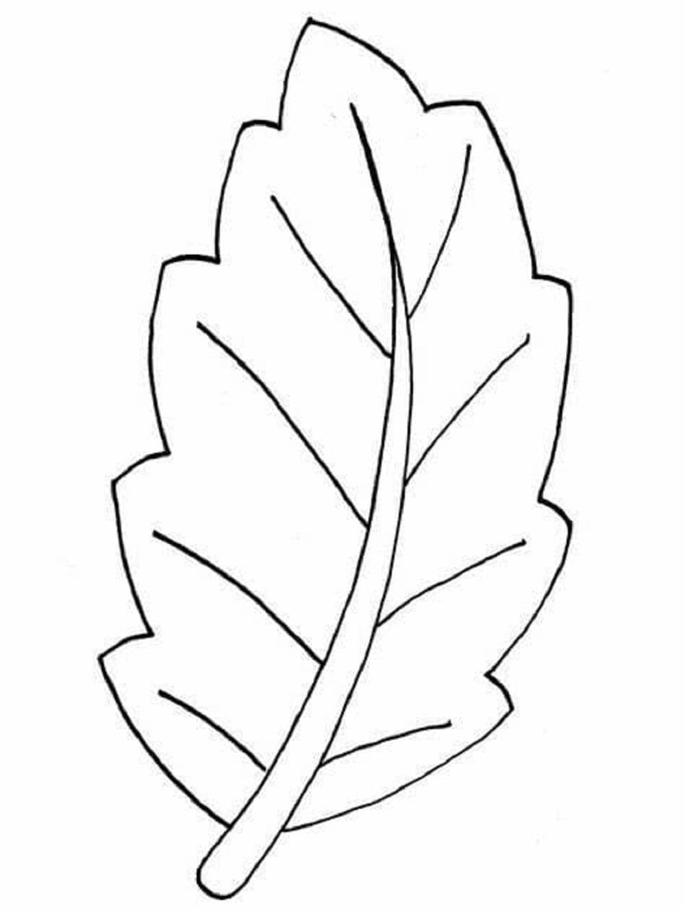 Print Free Leaves Image Outline Coloring Page