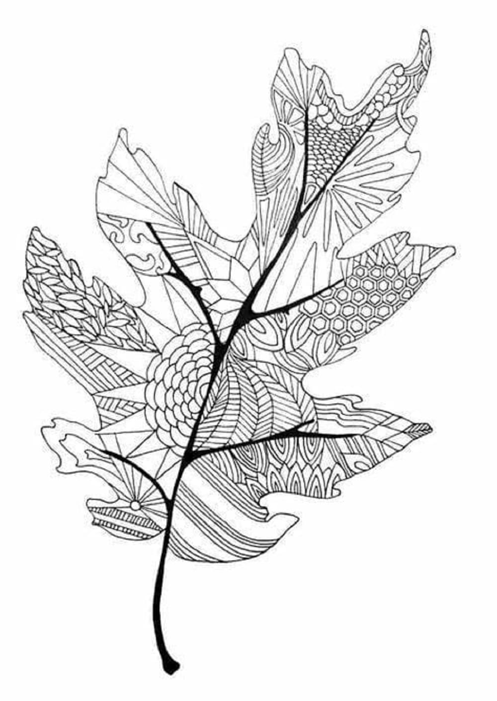 Print Free Leaves for Adult Coloring Page