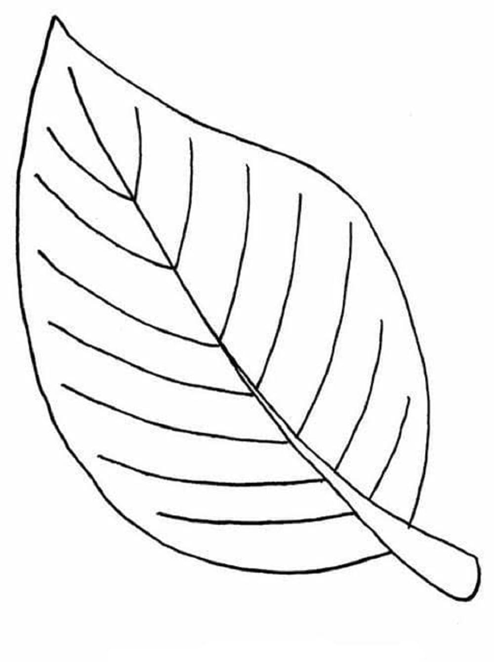 Print Leaves Coloring Page