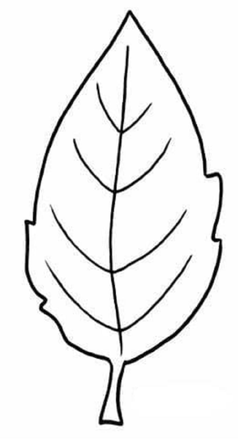 Print Leaves Image Coloring Page