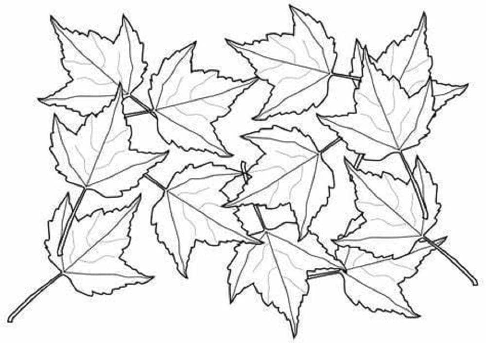 Print Leaves Image For Kid Coloring Page