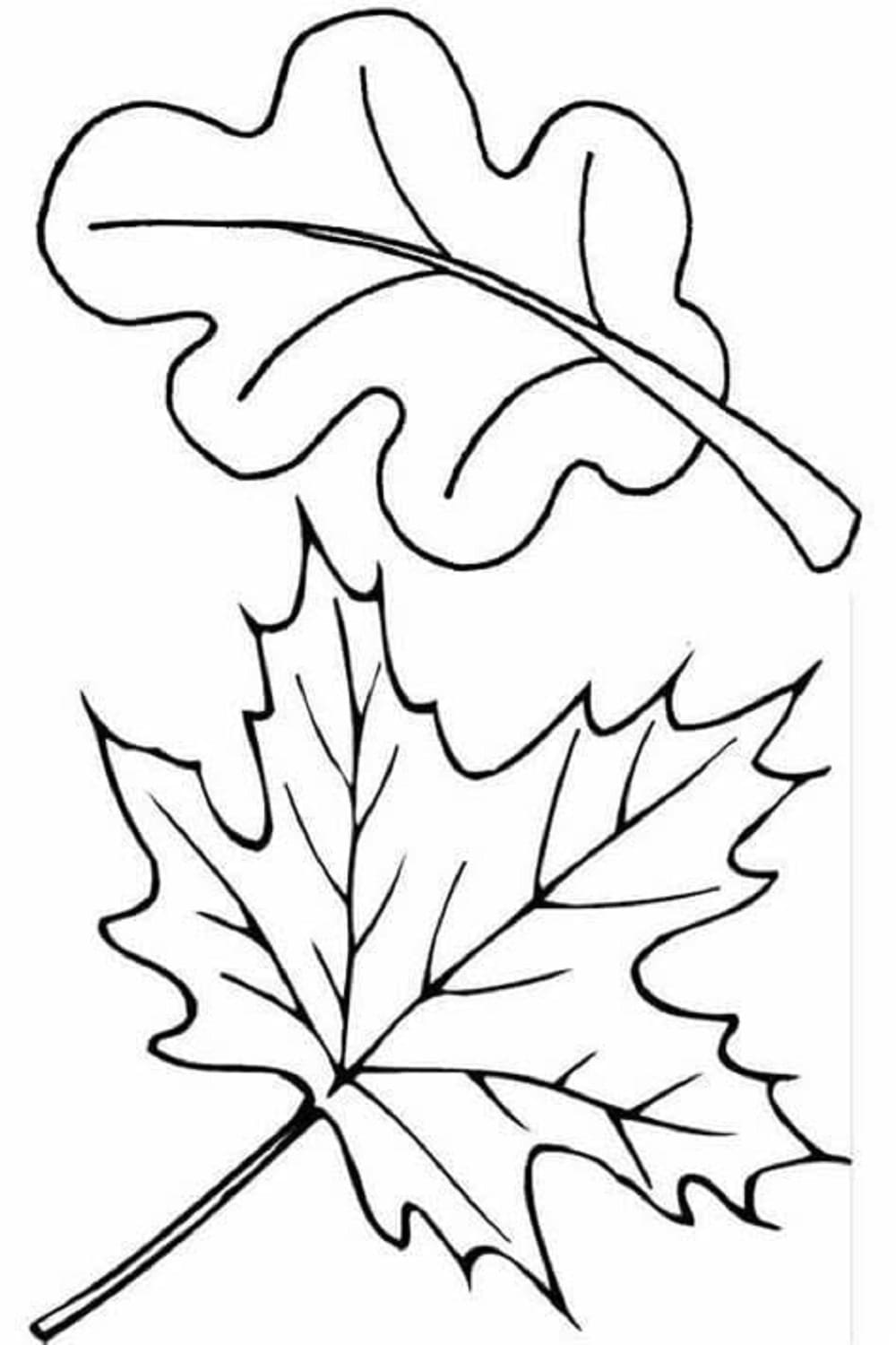 Print Leaves Images Coloring Page