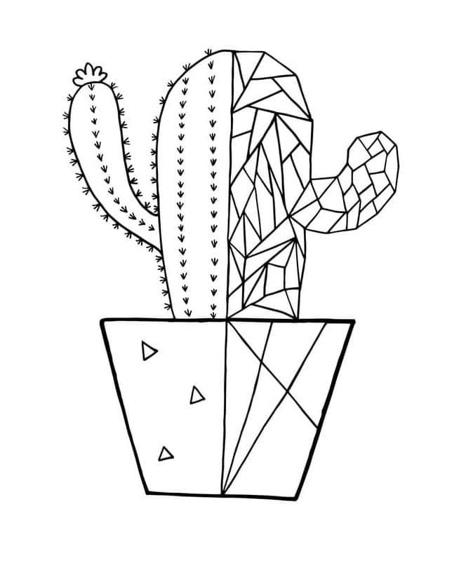 Print Nice Cactus Coloring Page