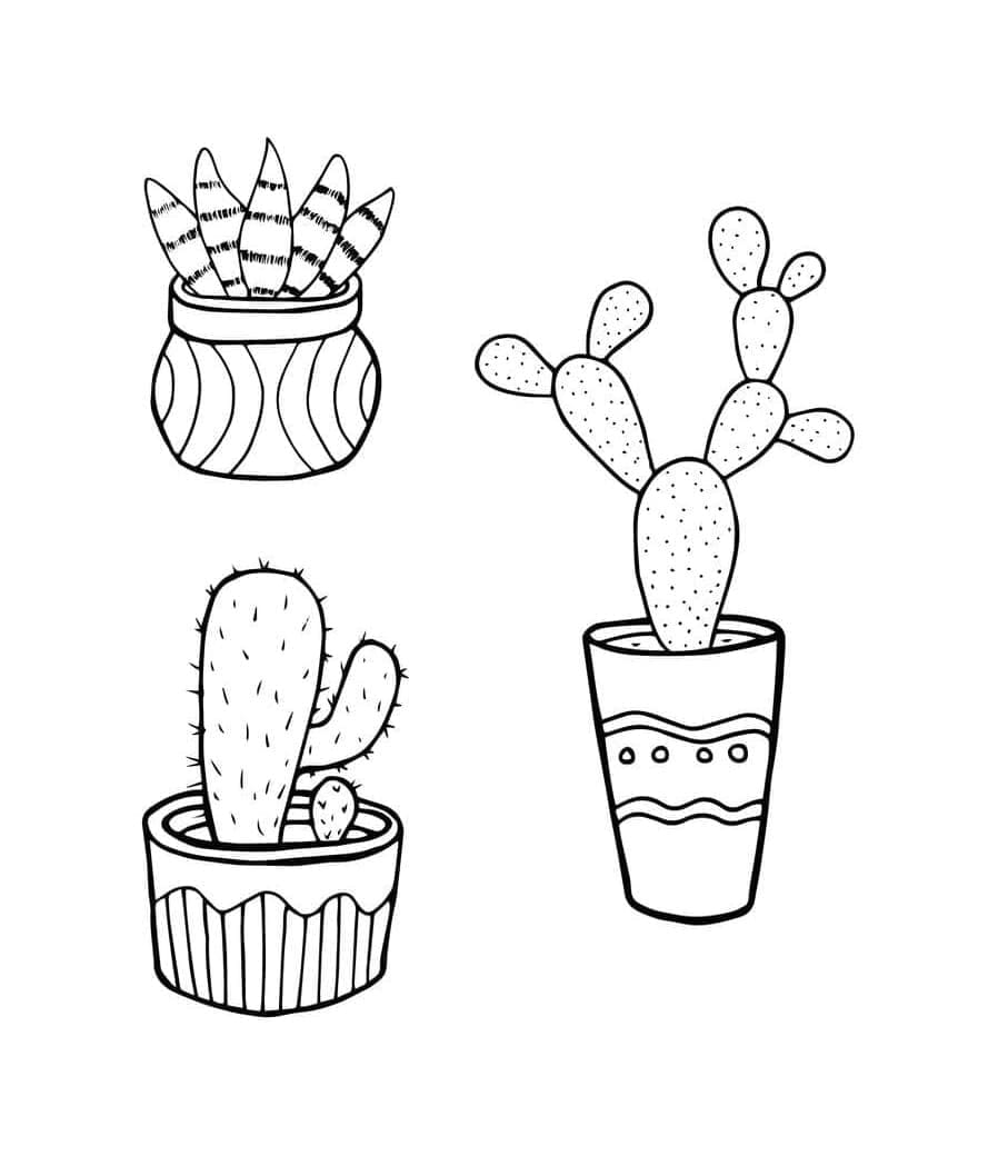 Print Nice Cactus Pots Coloring Page