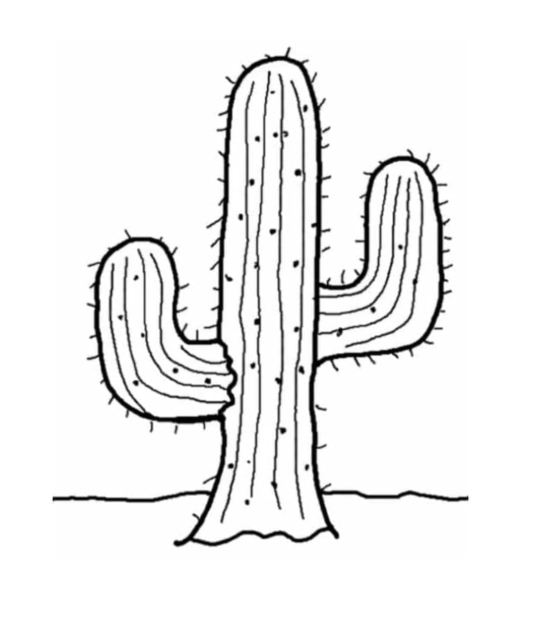 Print Normal Cactus Coloring Page